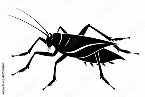 katydid silhouette line art vector illustration with a white background