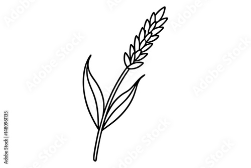 lavender silhouette line art vector illustration with a white background