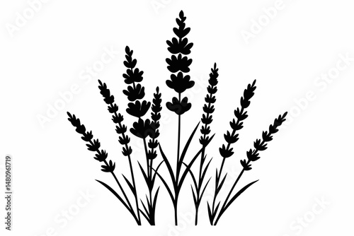 lavender silhouette line art vector illustration with a white background