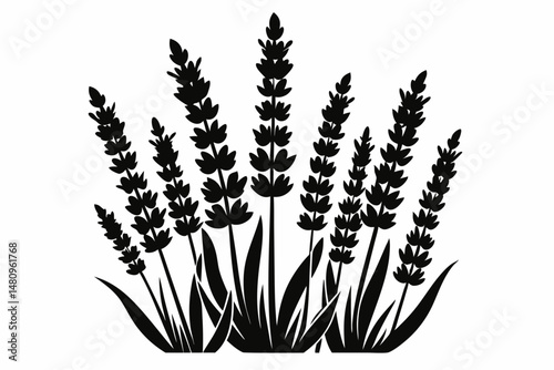 lavender silhouette line art vector illustration with a white background