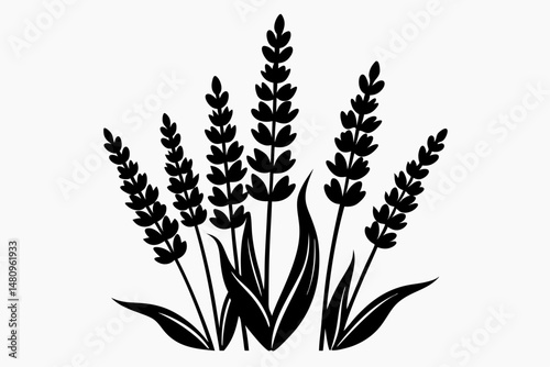 lavender silhouette line art vector illustration with a white background