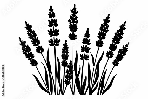 lavender silhouette line art vector illustration with a white background