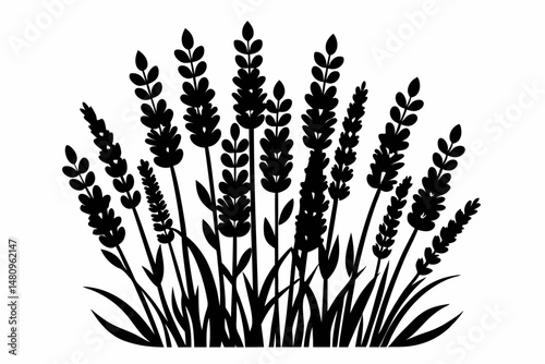lavender silhouette line art vector illustration with a white background