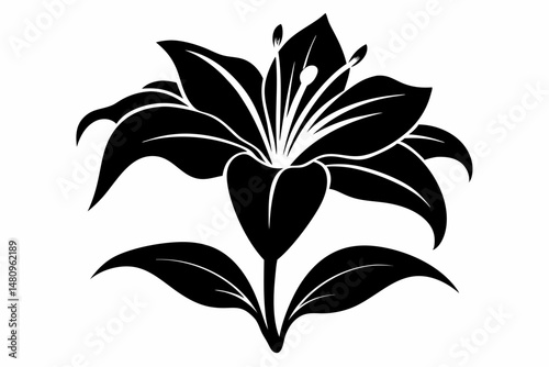 lily silhouette line art vector illustration with a white background