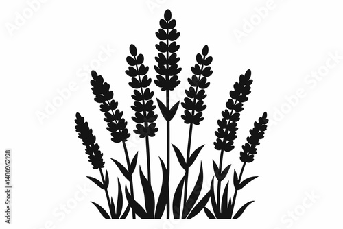 lavender silhouette line art vector illustration with a white background