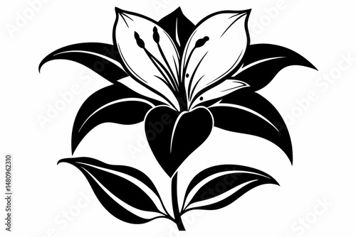 lily silhouette line art vector illustration with a white background