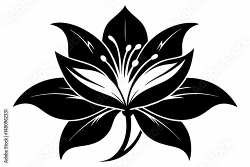 lily silhouette line art vector illustration with a white background