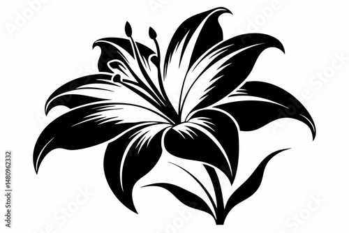 lily silhouette line art vector illustration with a white background
