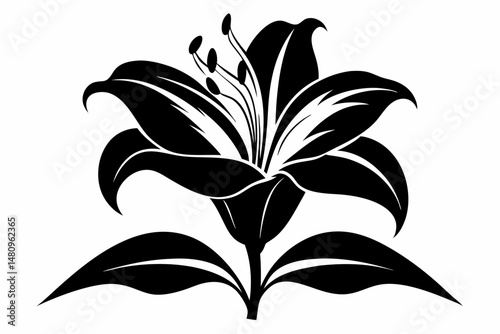 lily silhouette line art vector illustration with a white background