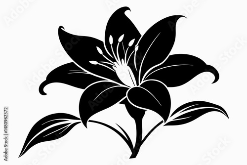 lily silhouette line art vector illustration with a white background