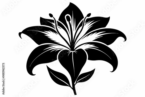 lily silhouette line art vector illustration with a white background