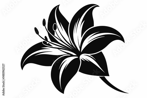 lily silhouette line art vector illustration with a white background