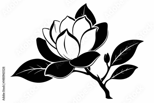 magnolia silhouette line art vector illustration with a white background