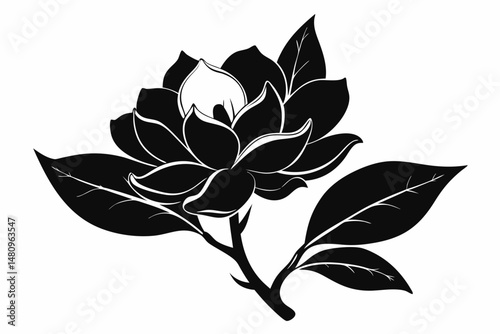 magnolia silhouette line art vector illustration with a white background