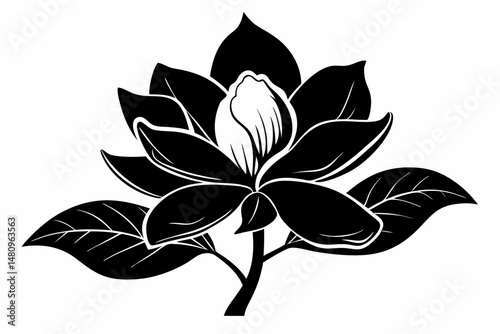 magnolia silhouette line art vector illustration with a white background
