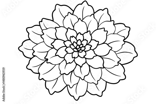 marigold silhouette line art vector illustration with a white background