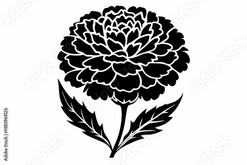 marigold silhouette line art vector illustration with a white background