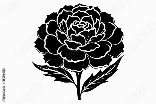 marigold silhouette line art vector illustration with a white background