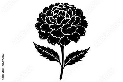 marigold silhouette line art vector illustration with a white background