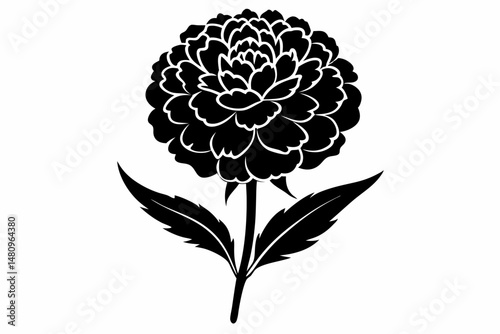 marigold silhouette line art vector illustration with a white background