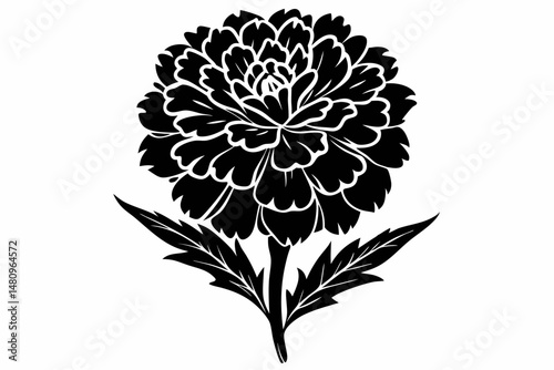 marigold silhouette line art vector illustration with a white background