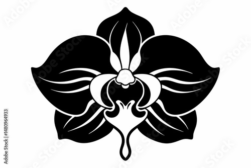 orchid silhouette line art vector illustration with a white background
