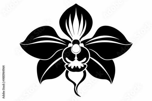 orchid silhouette line art vector illustration with a white background