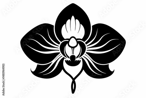 orchid silhouette line art vector illustration with a white background