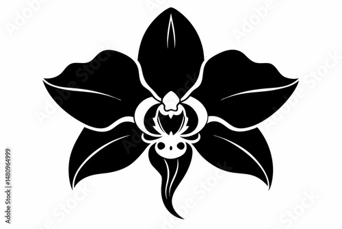 orchid silhouette line art vector illustration with a white background