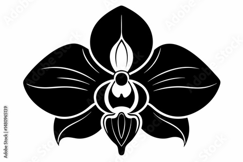 orchid silhouette line art vector illustration with a white background