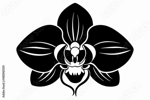orchid silhouette line art vector illustration with a white background