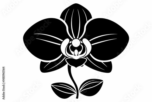 orchid silhouette line art vector illustration with a white background