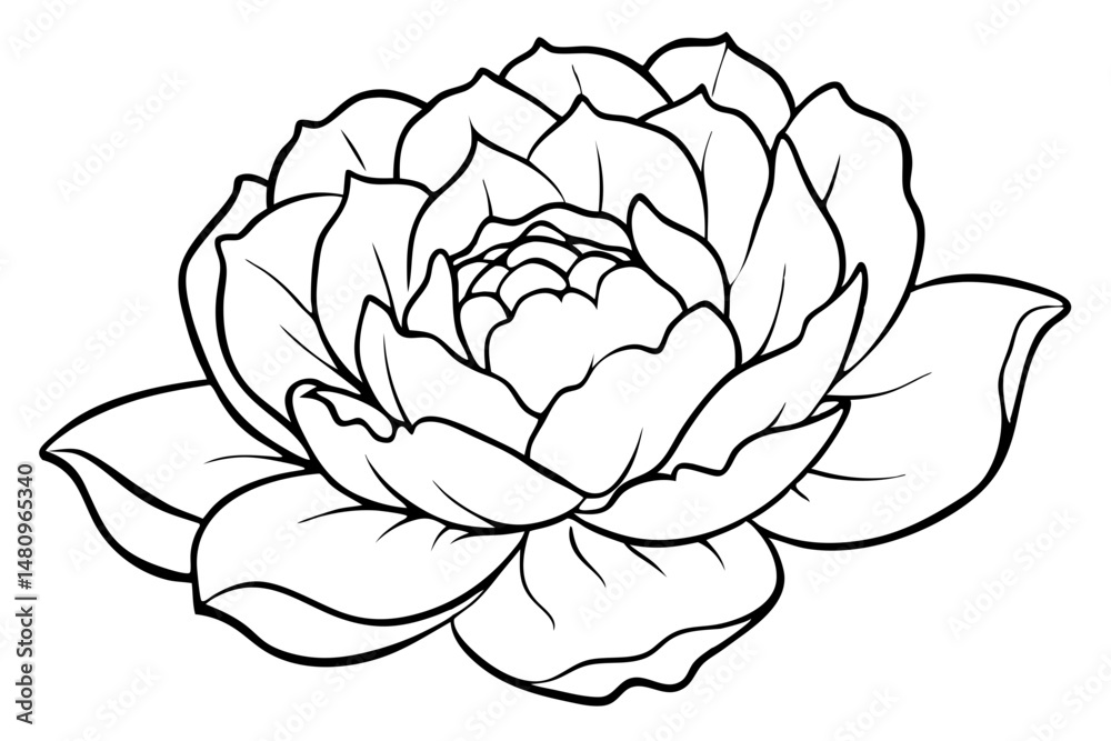 Obraz premium peony silhouette line art vector illustration with a white background