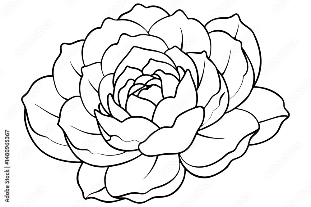 Obraz premium peony silhouette line art vector illustration with a white background
