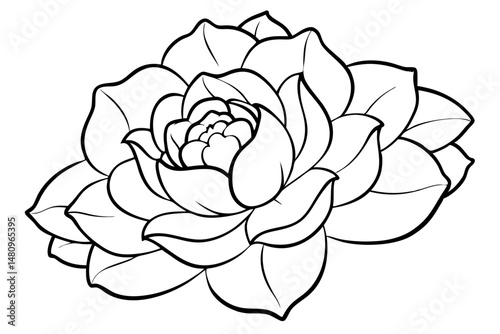 peony silhouette line art vector illustration with a white background