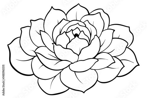 peony silhouette line art vector illustration with a white background