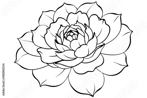 peony silhouette line art vector illustration with a white background