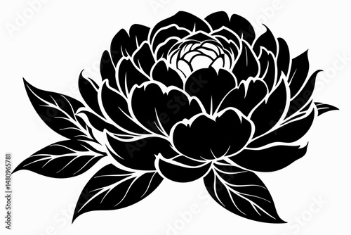 peony silhouette line art vector illustration with a white background