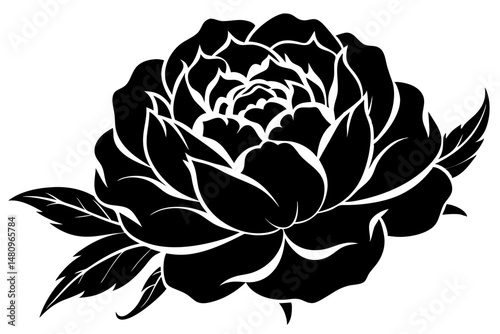 peony silhouette line art vector illustration with a white background