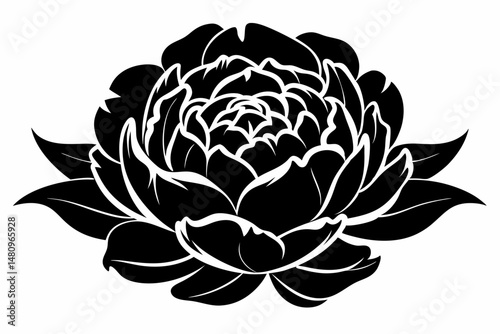 peony silhouette line art vector illustration with a white background