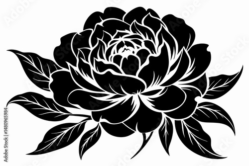 peony silhouette line art vector illustration with a white background