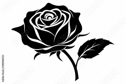 rose silhouette line art vector illustration with a white background