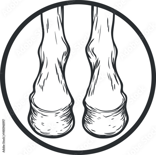 Black and white sketch of horse hooves viewed from the front inside a circle, showing detailed hoof anatomy and structure.
