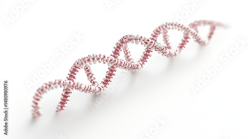3D DNA Model