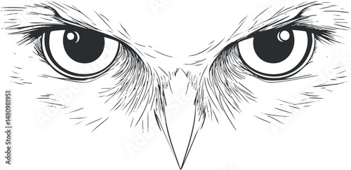 Close-up black and white illustration of an owl's intense eyes and beak with detailed feathers