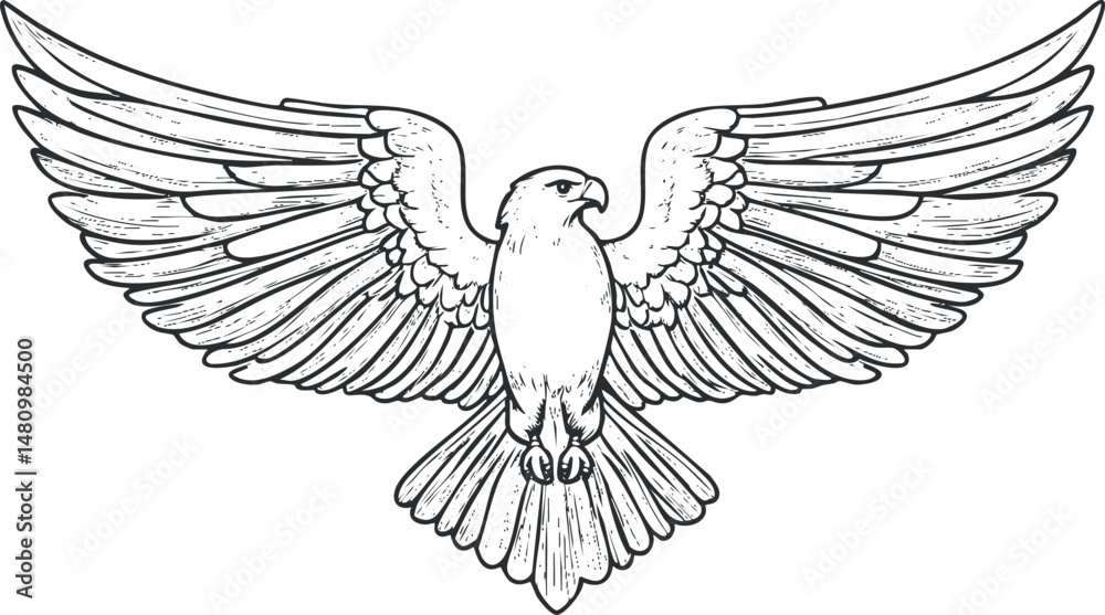 Naklejka premium Detailed black and white line drawing of an eagle with wings fully spread in flight