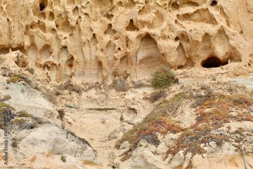 Cool Sedimentary Rock formations cliffs at Torrey Pines State Reserve San Diego California