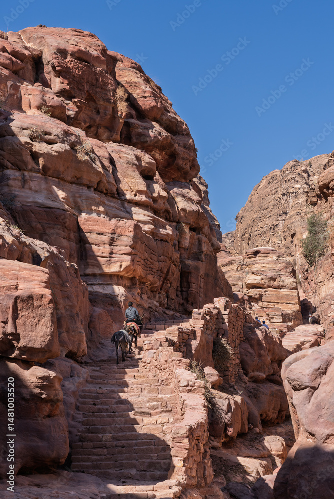 Fototapeta premium Local man on donkey pulls mule up staircase on trail to Ad Deir or the Monastery from Petra which is 1.6km and 800 steps