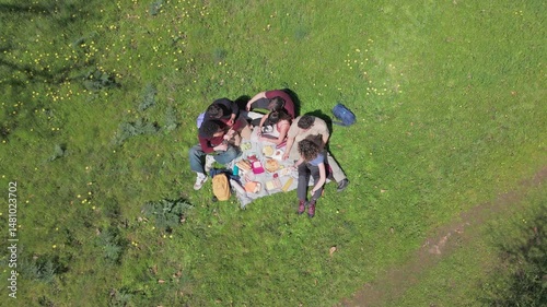 Friends enjoying a sunny picnic in the park