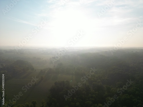 Misty trees in the morning fog when the humidity is high in the summer in corn growing regions.